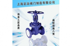 Z41F46 型 PN16、PN25 氟塑料襯里楔式閘閥