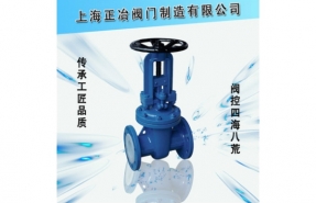 Z41F46 型 PN16、PN25 氟塑料襯里楔式閘閥