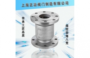 H42H、H42W立式止回閥